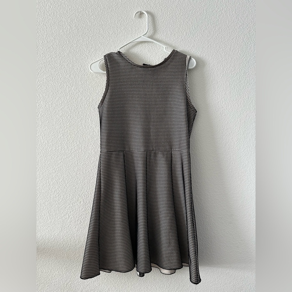 Zara Mesh Skater Dress
